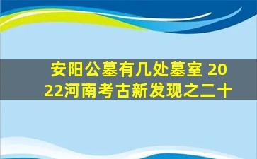 安阳公墓有几处墓室 2022河南考古新发现之二十